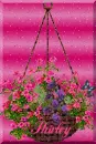 Hanging Basket
