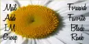 Daisy 
