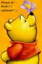 Winni De Pooh