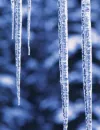 icicles