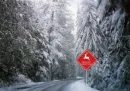 reigndeer crossing