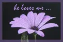 He Loves Me... ...He Loves Me Not