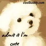 PuppyCutness!