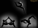 cirque du soleil