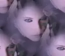Lady Purple