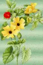 Yellow flower