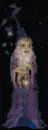 The Purple Anim. Wizard