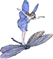 blue fairy on dragonfly