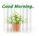 Good Morning