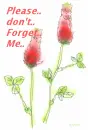Please ...don't forget me