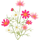 Flower of love