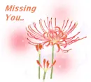 Missing you