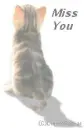 Miss you
