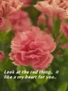 Flower of love