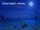 Good night !