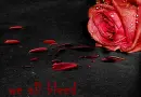 we all bleed
