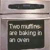 OMFG A TALKING MUFFIN!