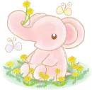 Cute Elephant