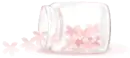 Love Bottle
