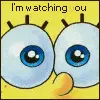 Im Watching You