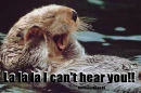 otter 