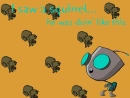 GIR AND SQUIRRELS
