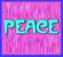 hippie