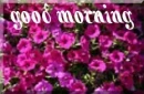 good morning