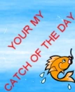 catch of the day