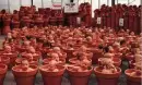 Baby Farm