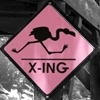 flamingo x-ing