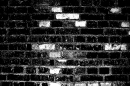 Bricks