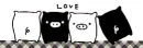 love pigs