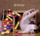 JENGA!!!