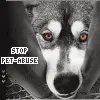 animal abuse
