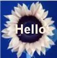 Hello