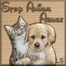 Stop Animal Abuse