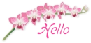 Hello
