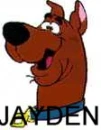 jayden's  name