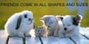 FRIENDS COME IN ALL SIZES