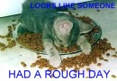 ROUGH DAY