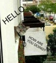 HELLO CAT