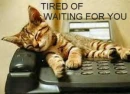 TIRED OF WAITING