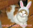 EASTER CAT