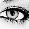black and grey eye