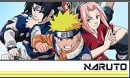 TEAM 7 