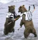 Coaching as a bear