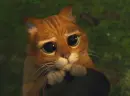 puss in boots