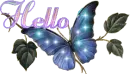 Hello