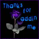 Thanks for the adding me